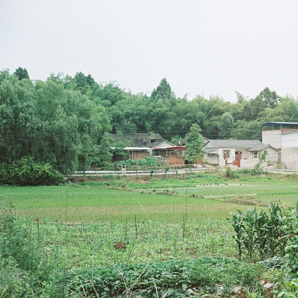 a farm with houses and trees